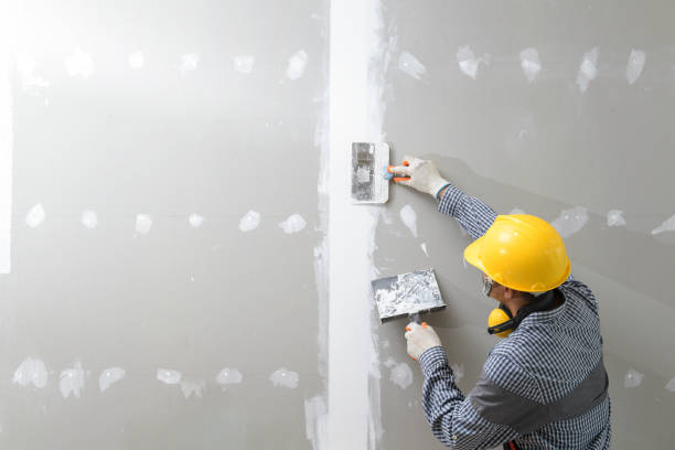 Best Drywall for Remodeling  in USA